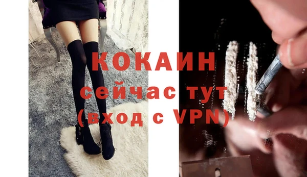 прущие крисы Абаза