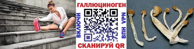 omg как зайти площадка телеграм Галлюциногенные грибы прущие грибы Инза